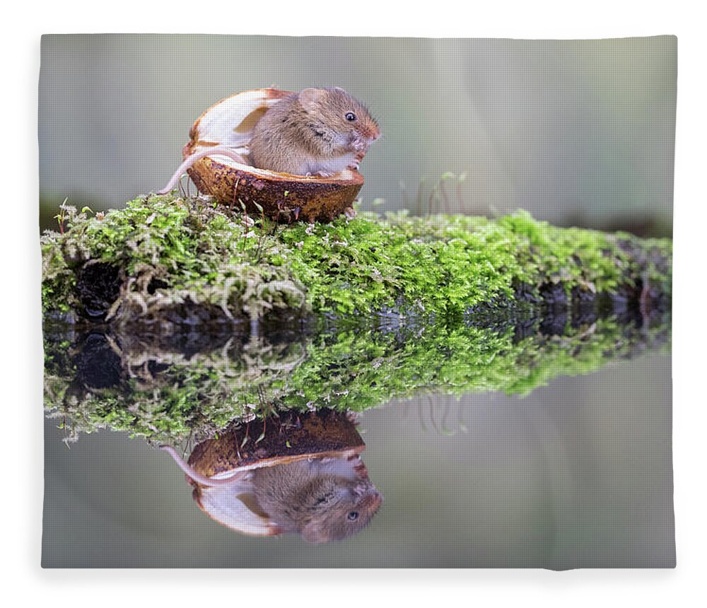 Cute Fleece Blanket featuring the photograph Mouse in a nutshell by Erika Valkovicova