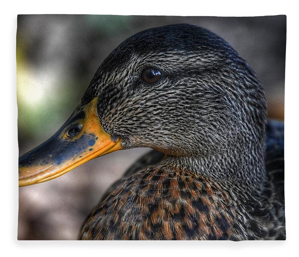 Photo Fleece Blanket featuring the photograph American Black Duck by Evan Foster