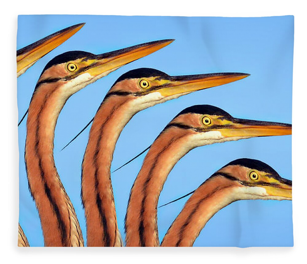 Egret Fleece Blanket featuring the photograph Multi Egret by Joe Bonita