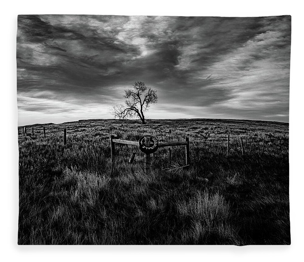  Fleece Blanket featuring the photograph Murray Tree Monochrome by Darcy Dietrich