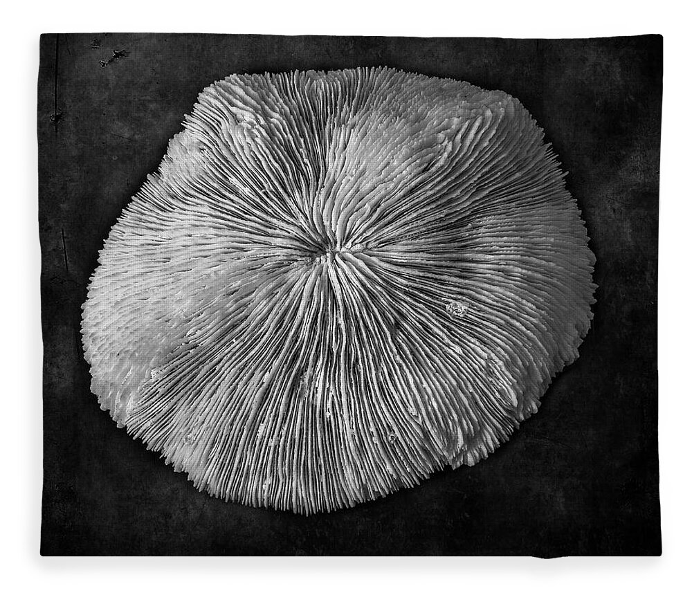 Black And White Fleece Blanket featuring the photograph Mushroom Coral BW by David Gordon