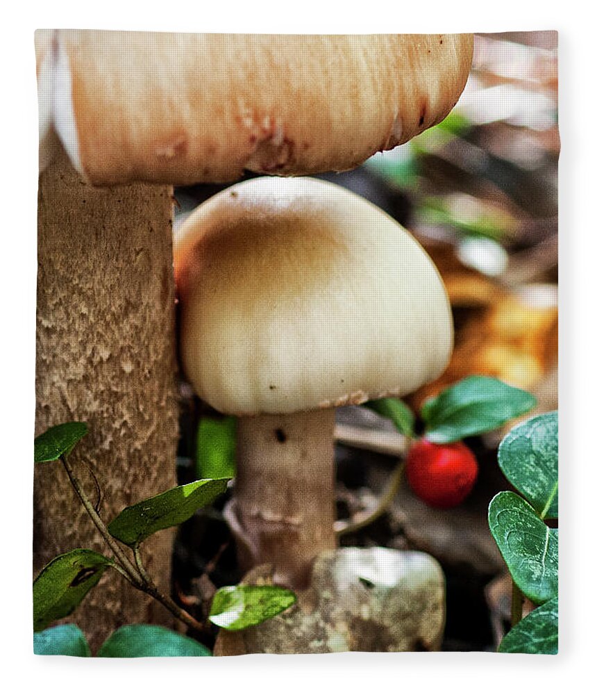 Mushrooms Fleece Blanket featuring the photograph Mushrooms in the Croatan National Forest by Bob Decker