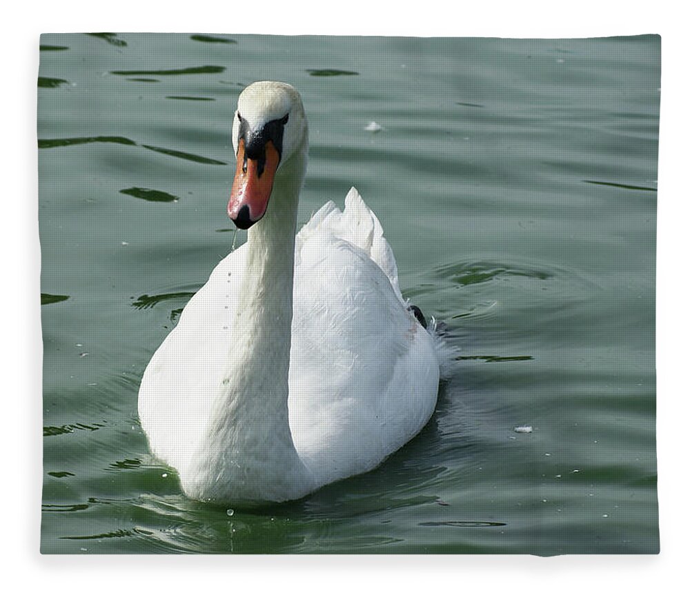  Fleece Blanket featuring the photograph Mute Swan by Heather E Harman
