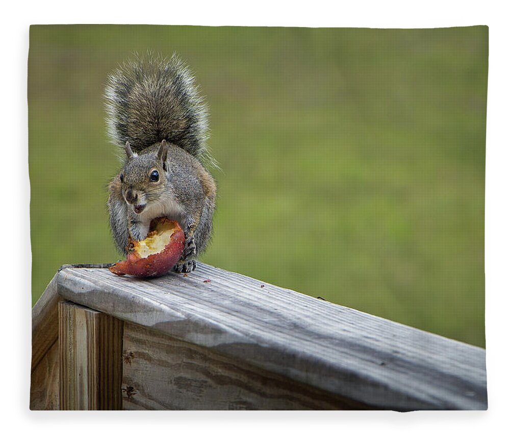Squirrel Fleece Blanket featuring the photograph My Apple by M Kathleen Warren