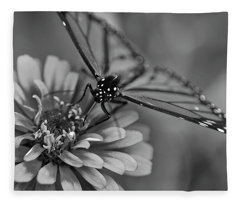 Butterfly Fleece Blanket featuring the photograph My Black and White Side by Scott Burd