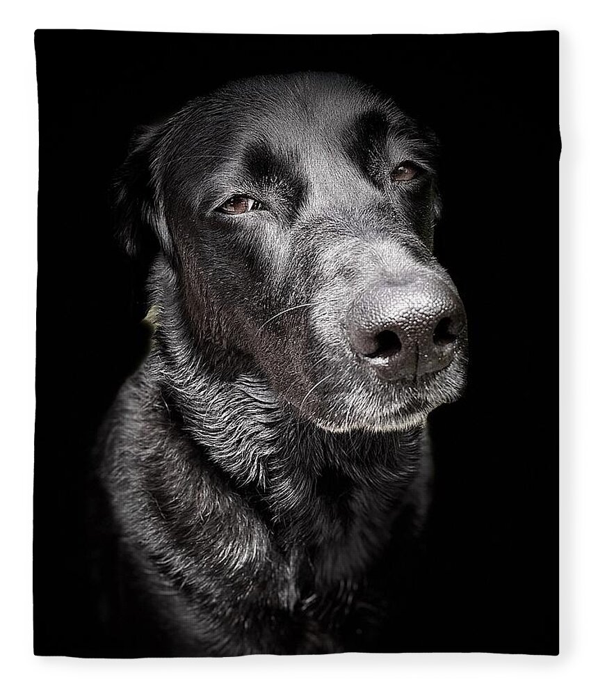 Dog Fleece Blanket featuring the photograph My Dog Darby by David Letts