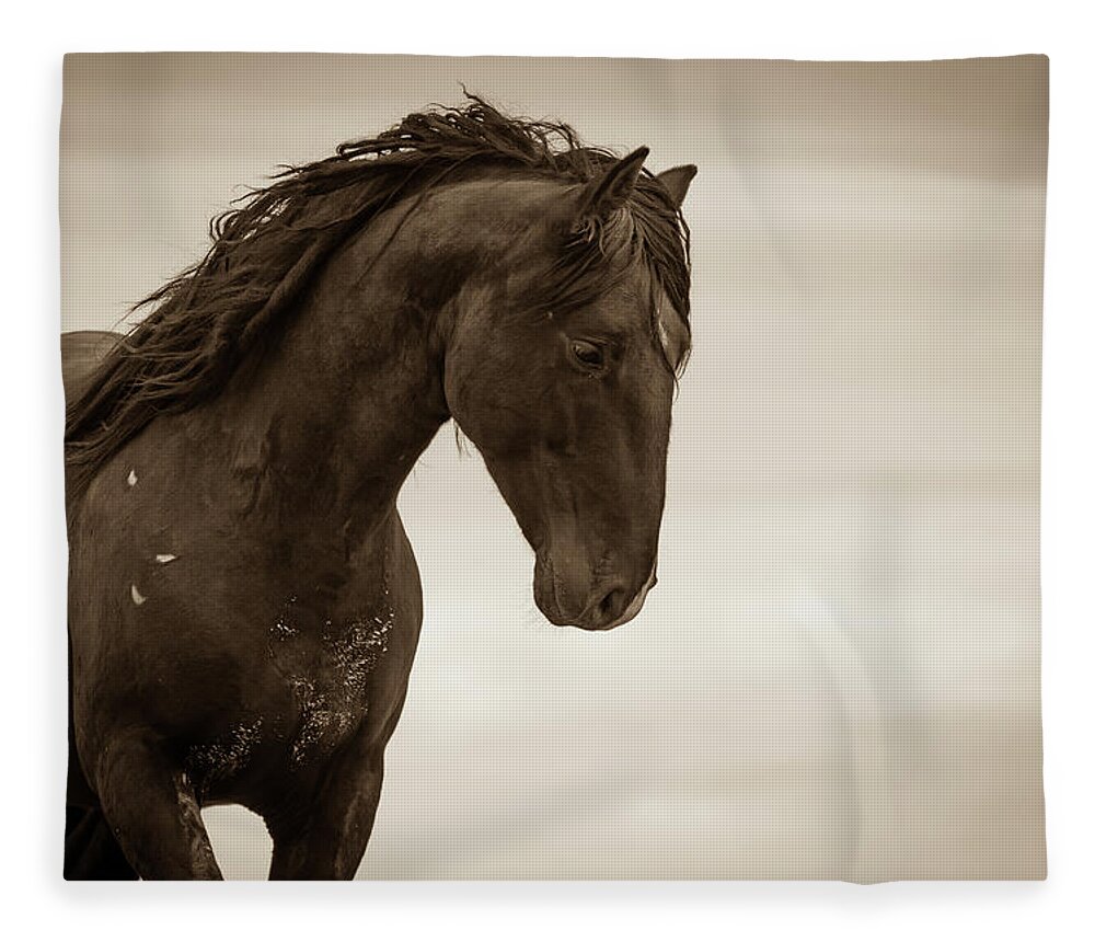 Wild Horses Fleece Blanket featuring the photograph My Thoughts are My Own by Mary Hone