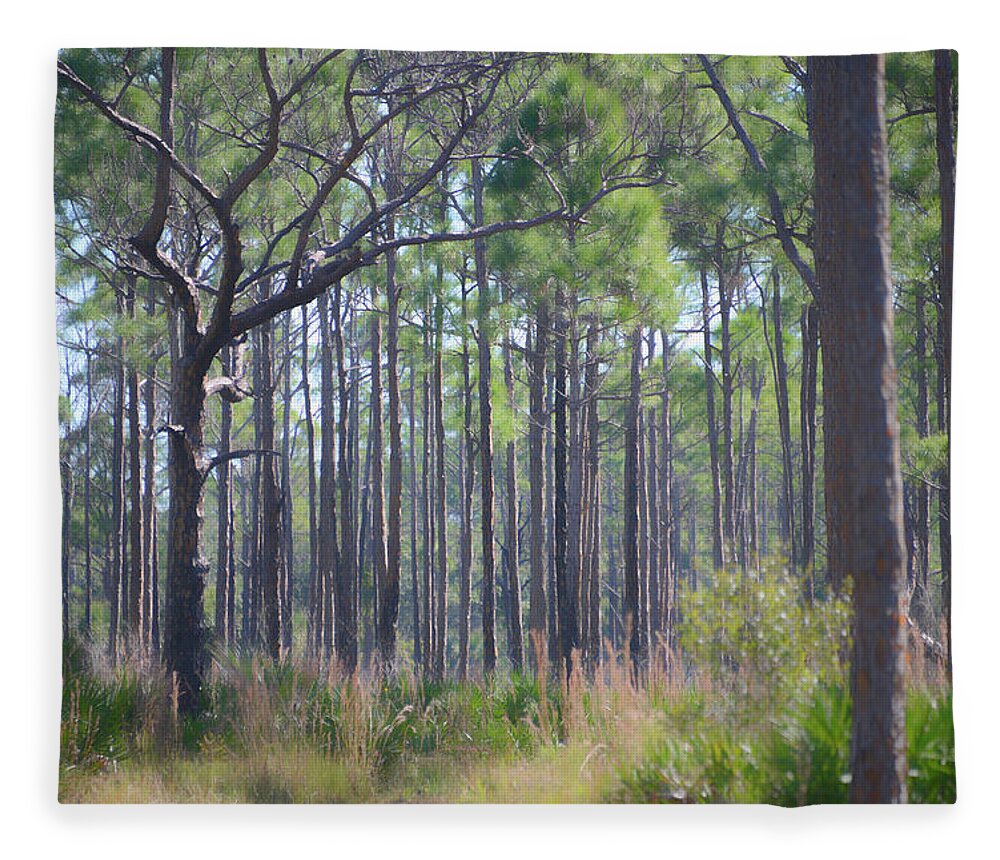 Forest Fleece Blanket featuring the photograph Myakka State Forest by Alison Belsan Horton