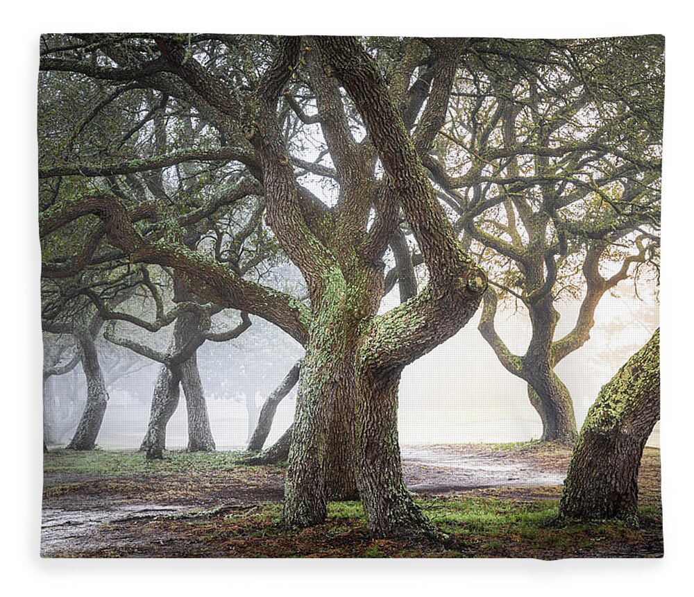 Foggy Trees Fleece Blanket featuring the photograph Mysterious Path by Jordan Hill