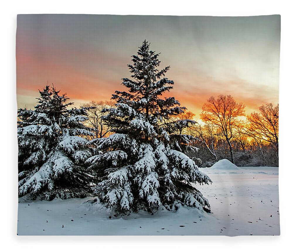 2012 Fleece Blanket featuring the photograph Naga-Waukee Park by Randy Scherkenbach