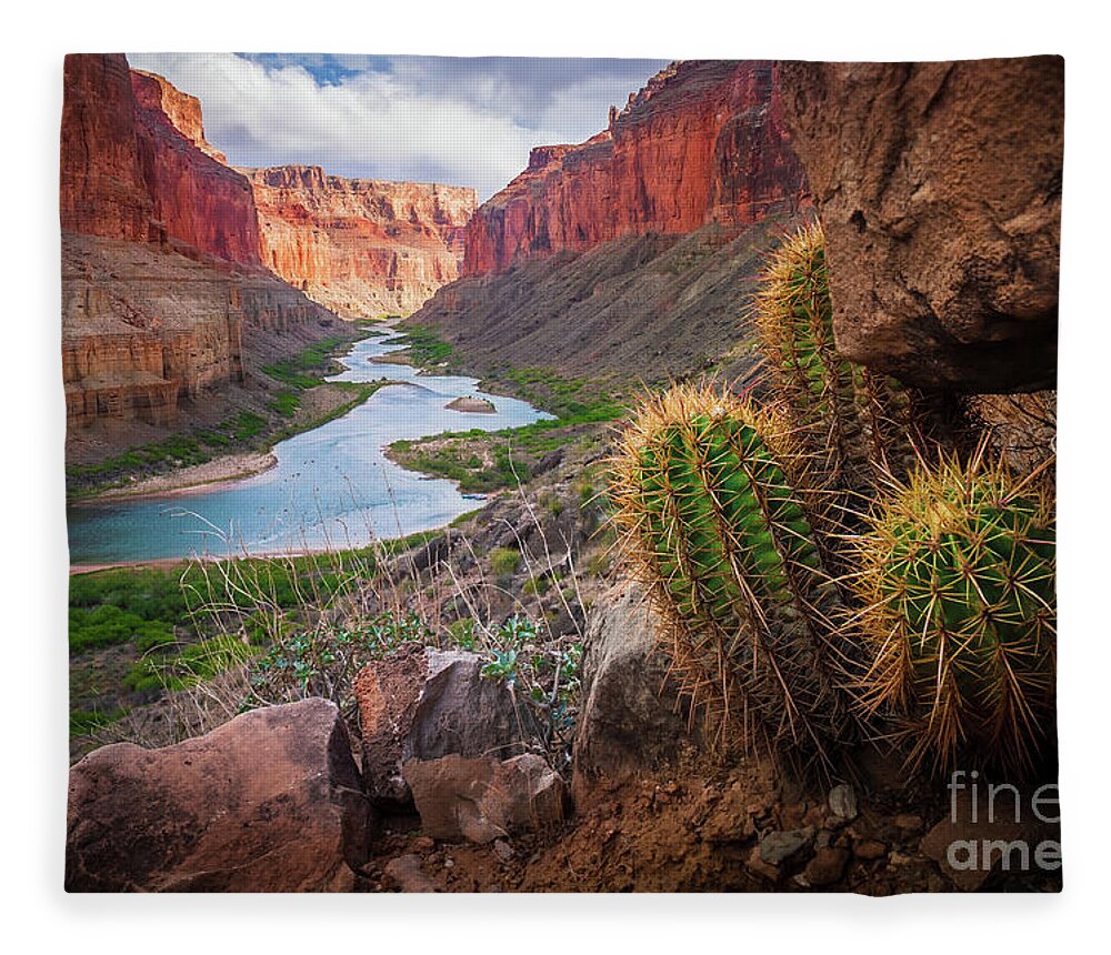 America Fleece Blanket featuring the photograph Nankoweap Cactus by Inge Johnsson