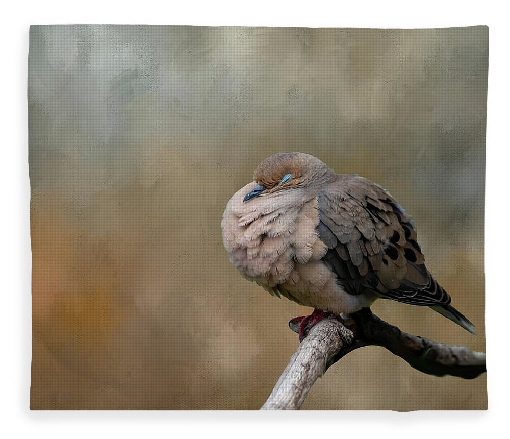 Mourning Dove Fleece Blanket featuring the photograph Nap Time by Cathy Kovarik