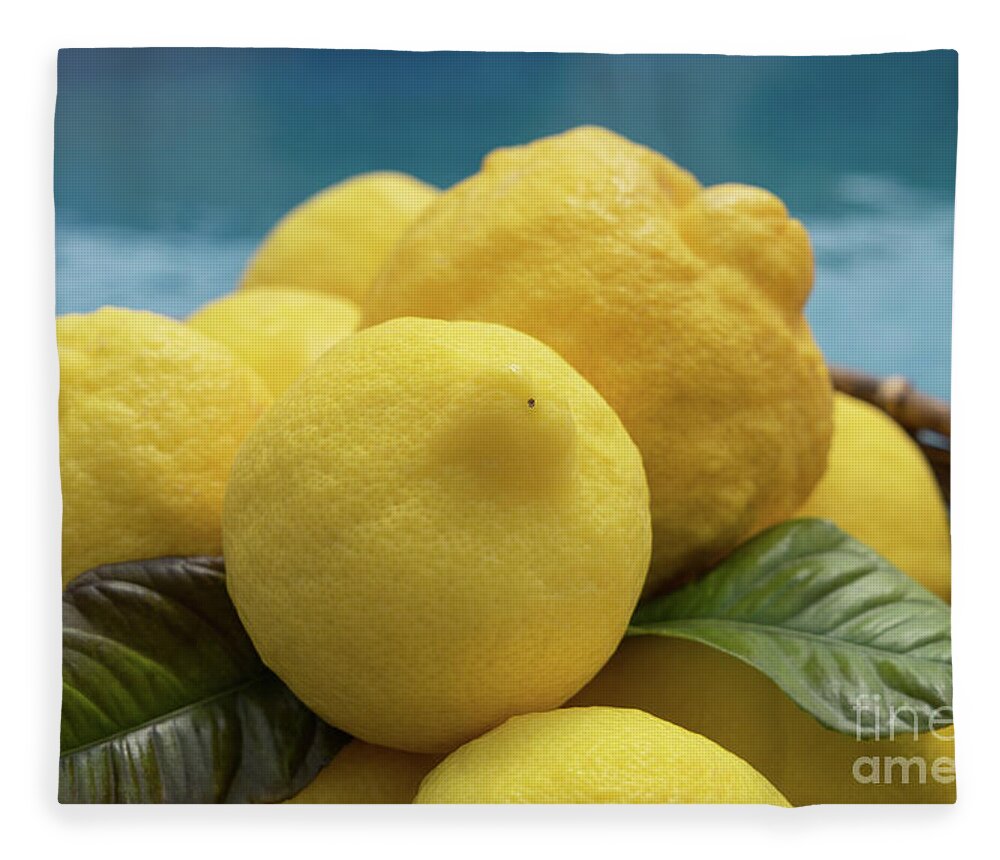 Lemon Tree Fleece Blanket featuring the photograph Natural lemons and lemon leaves by the pool by Adriana Mueller