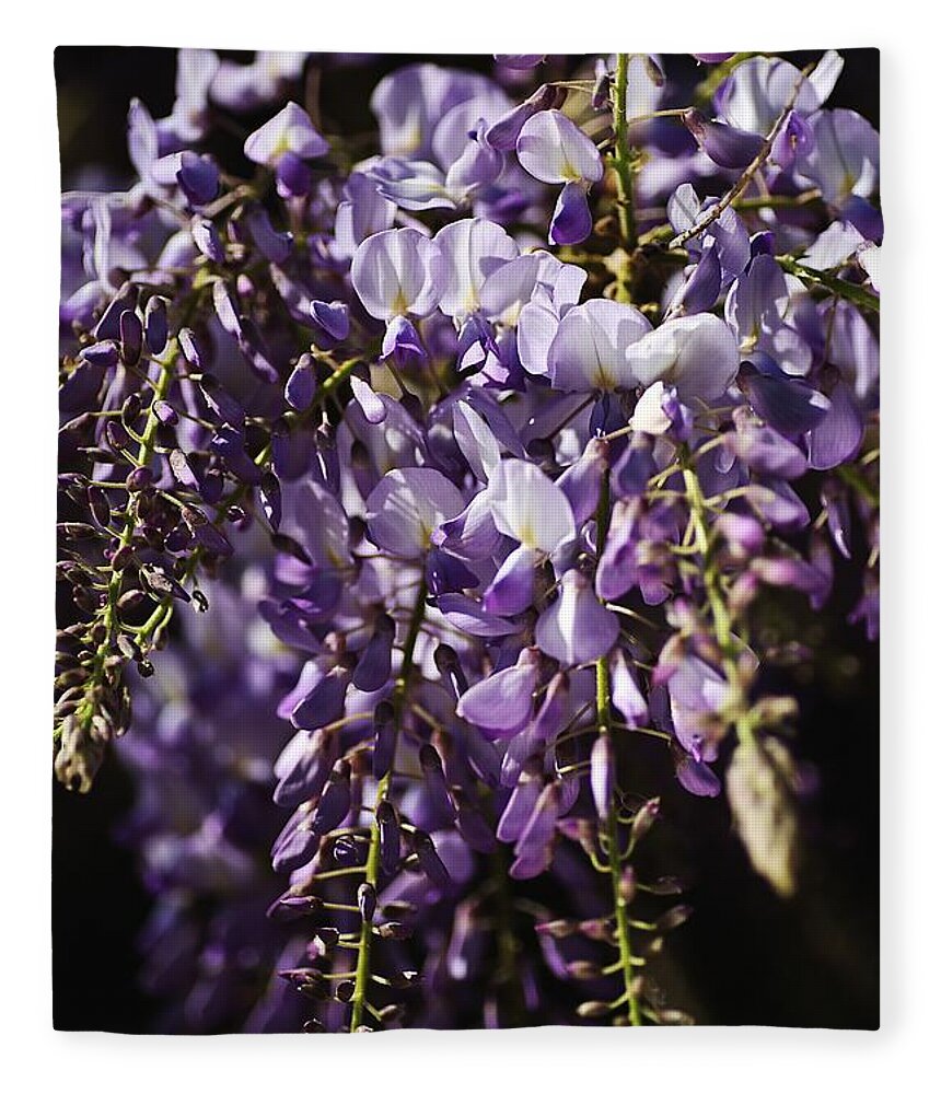 Acanthaceae Fleece Blanket featuring the photograph Natural Wisteria Bouquet by Joy Watson