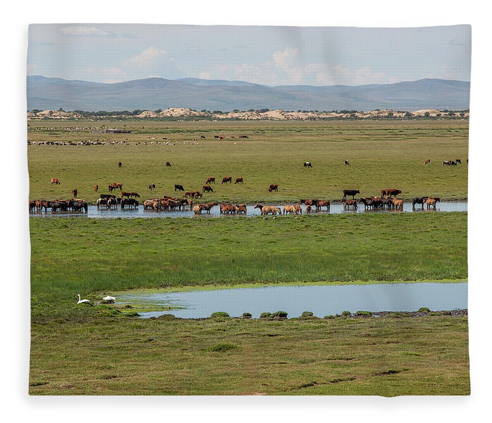 Herders Lifestyle Fleece Blanket featuring the photograph Nature Mongolia by Bat-Erdene Baasansuren