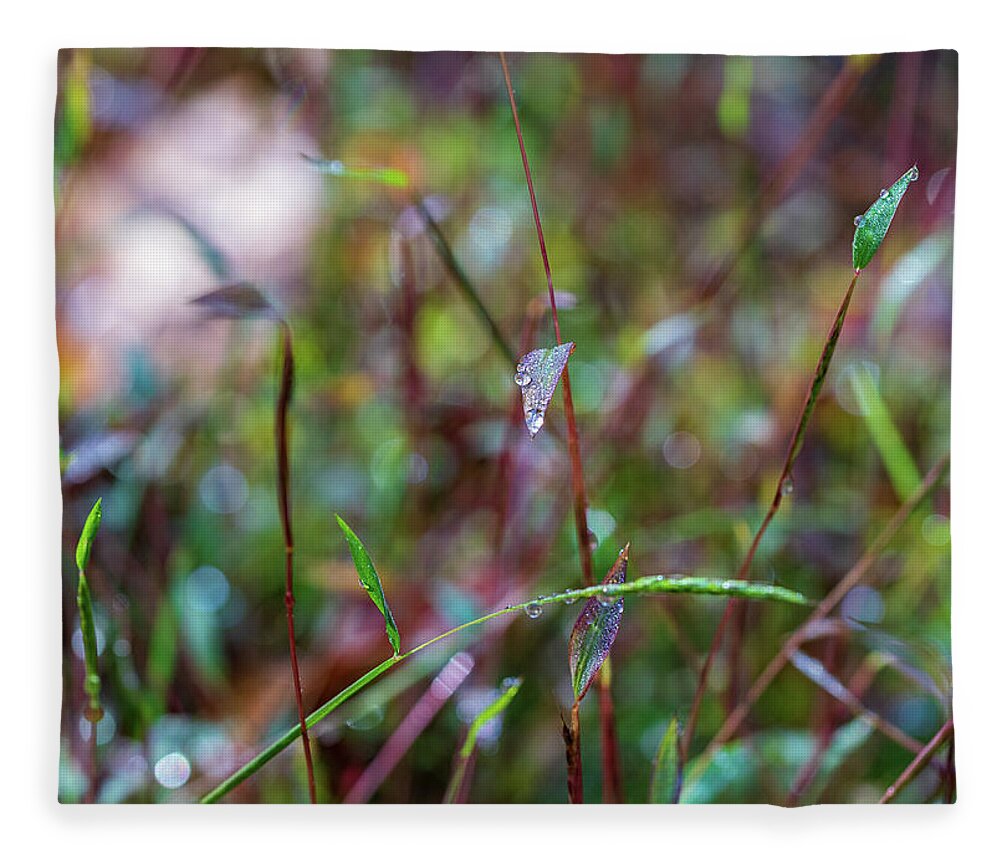 Fall Fleece Blanket featuring the photograph Nature Photography - Fall Grass by Amelia Pearn