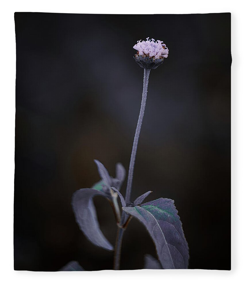 Flowers Fleece Blanket featuring the photograph Nature Pic 3 by Gian Smith