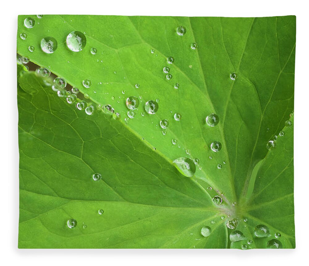 Flora Fleece Blanket featuring the photograph Nature's Beading by Melissa Southern