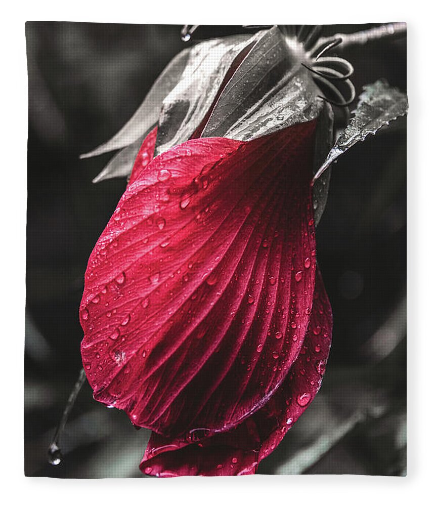 Nature Fleece Blanket featuring the photograph Nature's Tears in Red by Tricia Louque