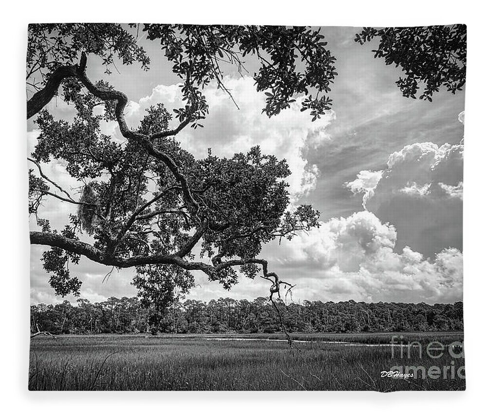 Nature Fleece Blanket featuring the photograph Natures Serenity In Black and White by DB Hayes