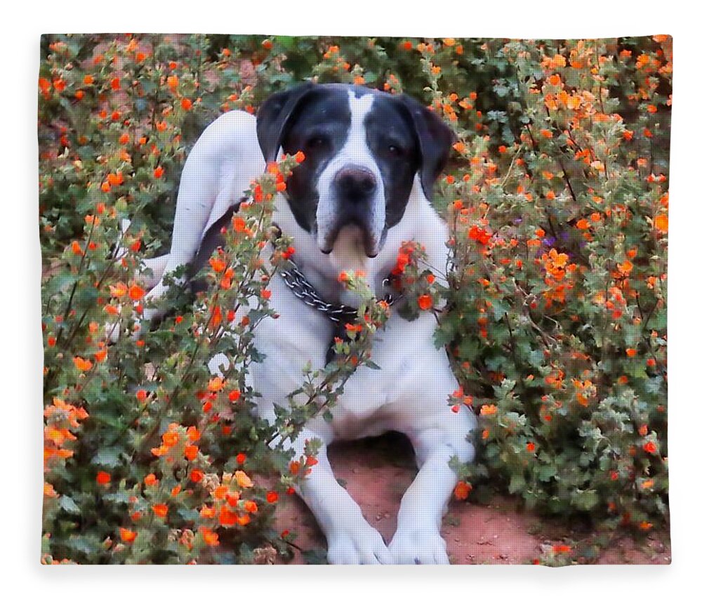 Waywardmuse Fleece Blanket featuring the photograph Neo in the Globemallows by Judy Kennedy