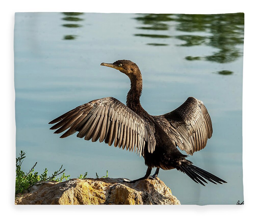 Animal Fleece Blanket featuring the photograph Neotropic Cormorant with Wings Spread by Jeff Goulden
