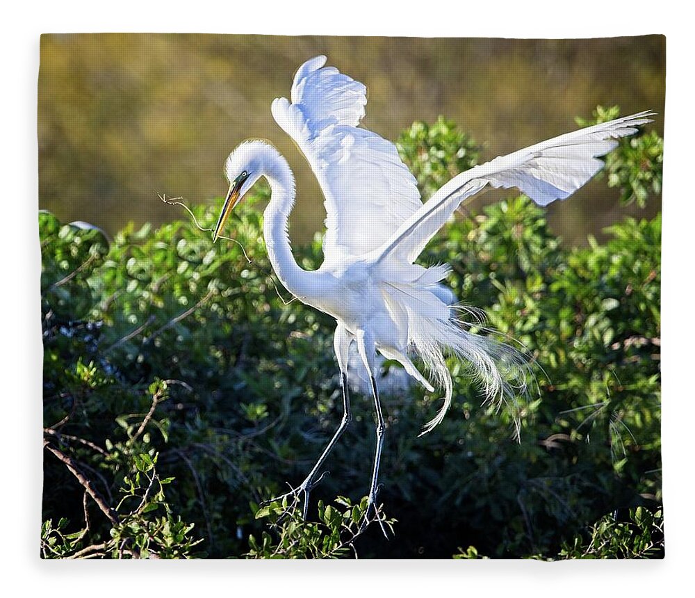 Great Egret Fleece Blanket featuring the photograph Great Egret Building a Nest by Ronald Lutz
