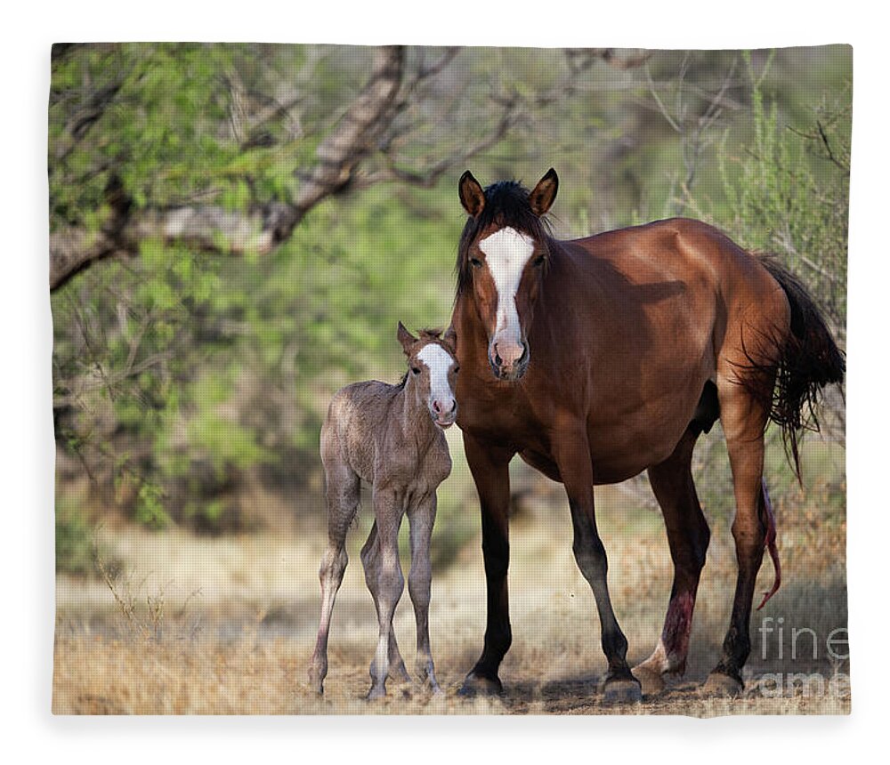 Cute Foal Fleece Blanket featuring the photograph Newborn by Shannon Hastings