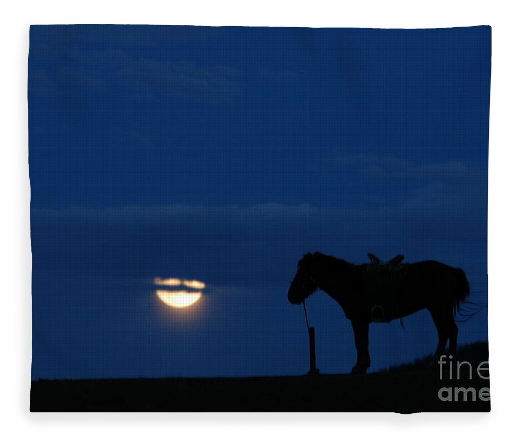 Night Of Moon With Horse Fleece Blanket featuring the photograph Night of Moon with horse by Elbegzaya Lkhagvasuren