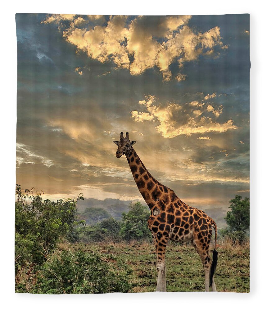 Giraffe Fleece Blanket featuring the digital art Noelle's Giraffe by Russel Considine