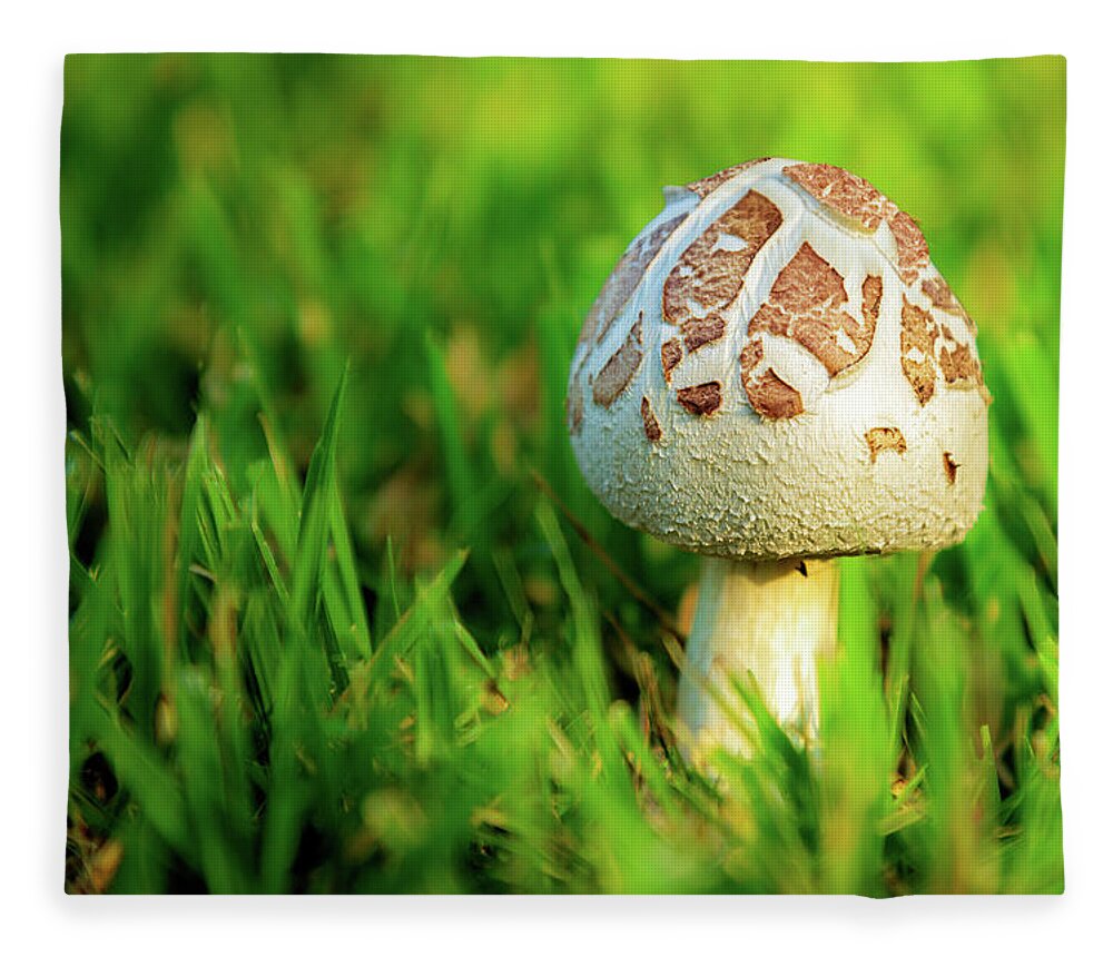 Mushroom Fleece Blanket featuring the photograph Not A Full Bloom Mushroom by James Eddy