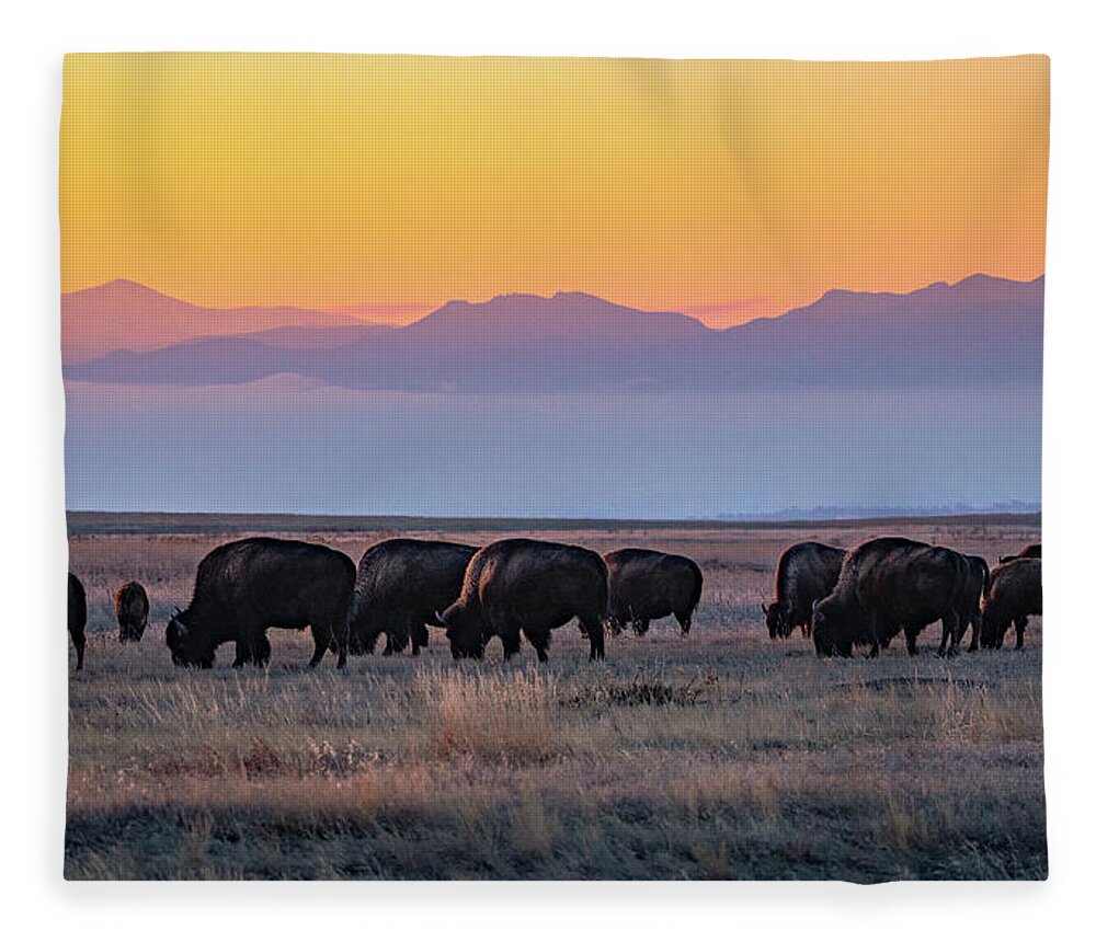 Bison Fleece Blanket featuring the photograph Now that's a Colorado sunset by Gary Kochel