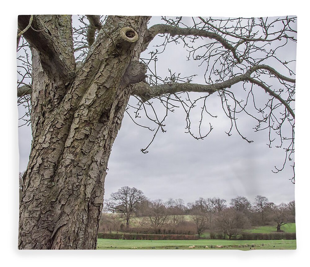Oak Hill Park Fleece Blanket featuring the photograph Oak Hill Park Trees Winter by Edmund Peston