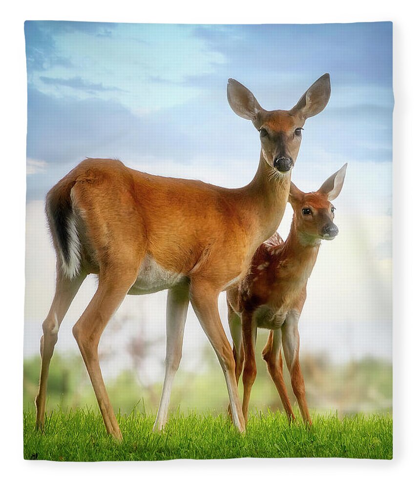 Deer Fleece Blanket featuring the photograph Oh, Deer, Let's Pose... by Shelia Hunt