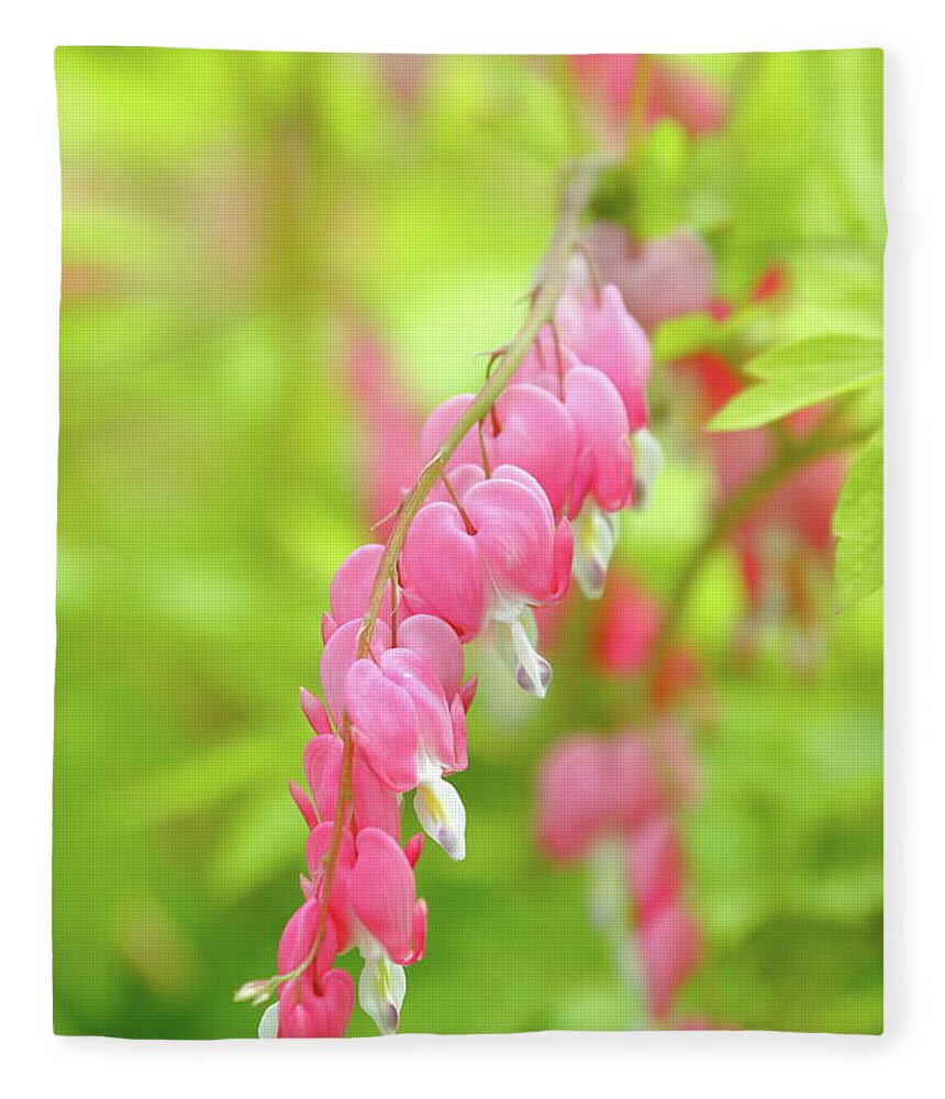 Plant Fleece Blanket featuring the photograph Oh My Bleeding Heart by Lens Art Photography By Larry Trager
