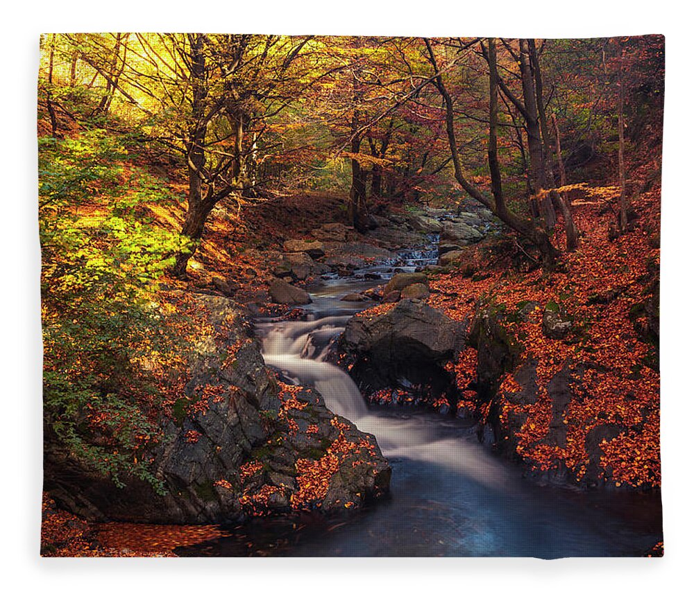 Mountain Fleece Blanket featuring the photograph Old River by Evgeni Dinev