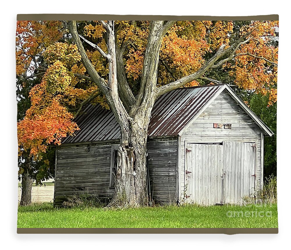 Orange Fleece Blanket featuring the photograph Old Shed by Paula Guttilla