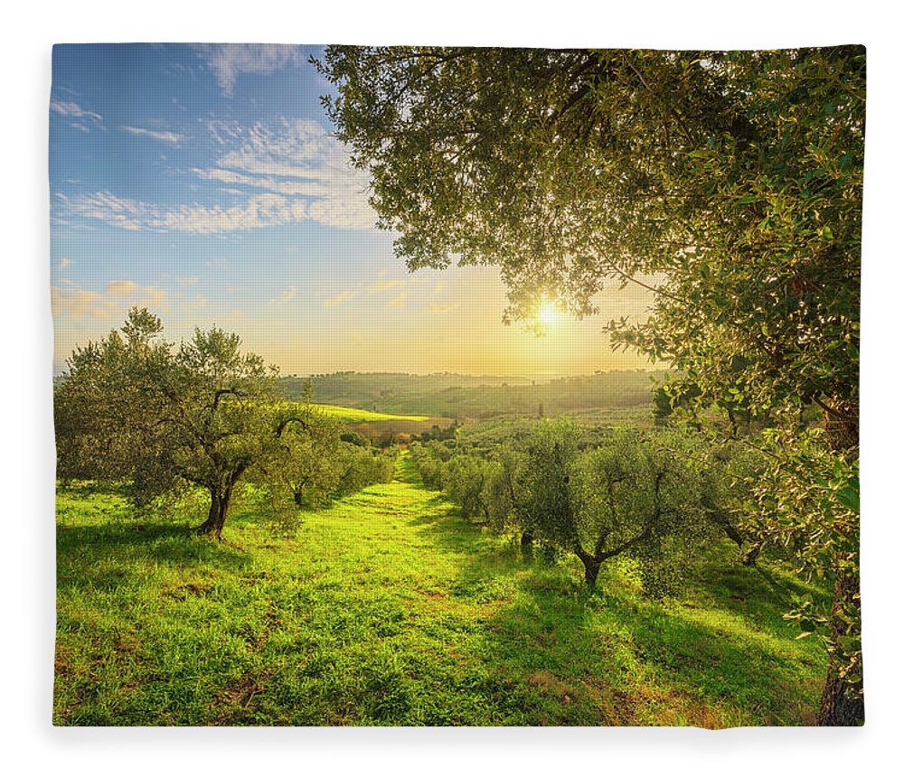 Olive Fleece Blanket featuring the photograph Olive grove at sunset. by Stefano Orazzini