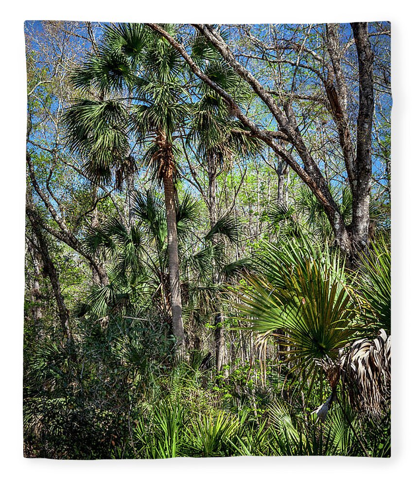 Florida Fleece Blanket featuring the photograph On a Florida Hike - 3 by W Chris Fooshee