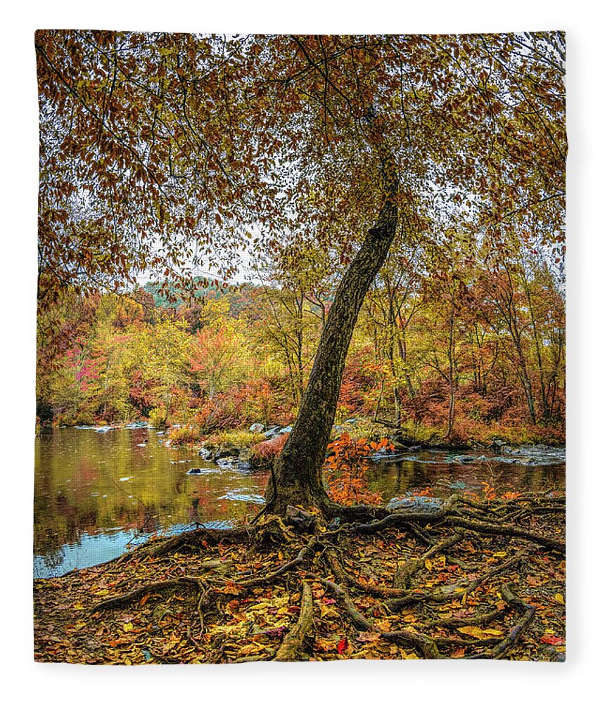 Tree Fleece Blanket featuring the photograph On the Edge of Fall Colors by Debra and Dave Vanderlaan