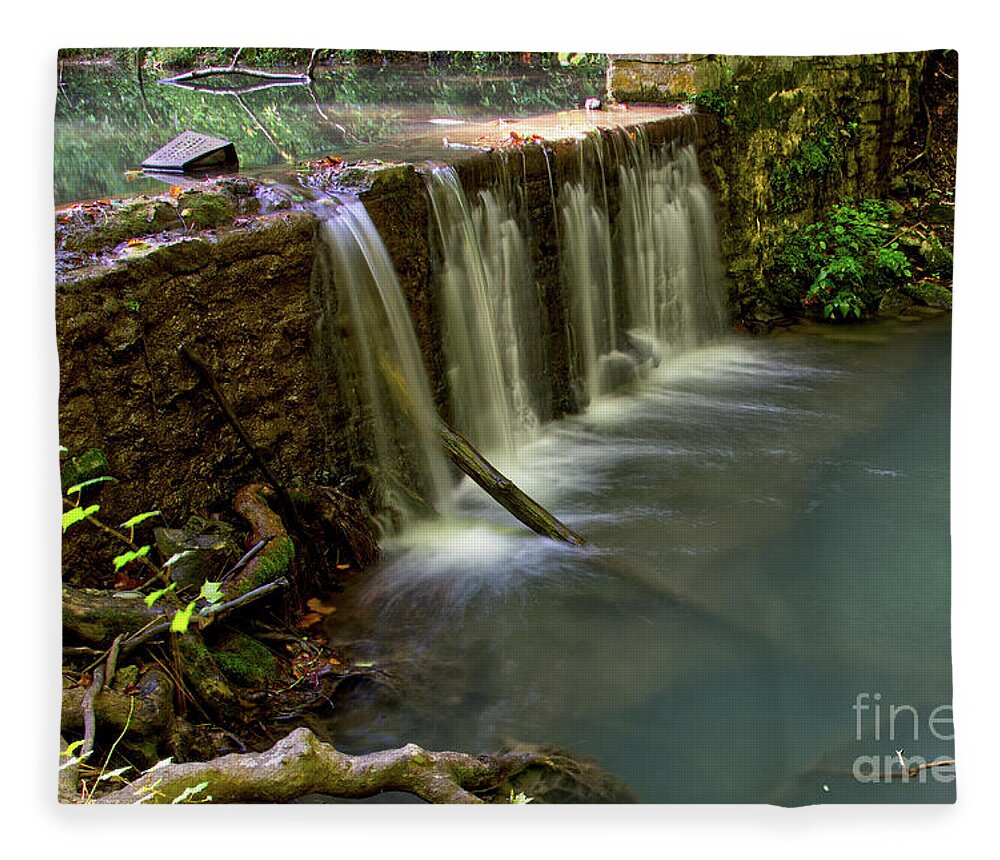Norris Dam State Park Fleece Blanket featuring the photograph On The Road 8 by Phil Perkins