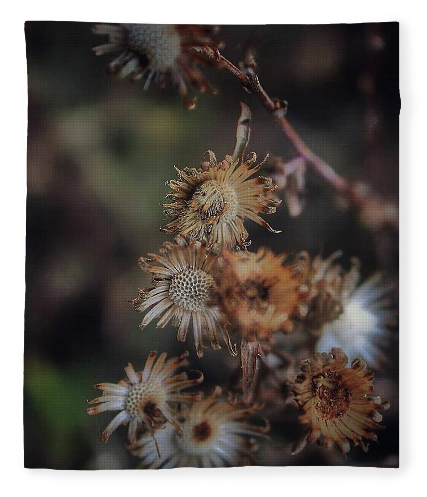 Mountain Fleece Blanket featuring the photograph On the Way Out by Go and Flow Photos