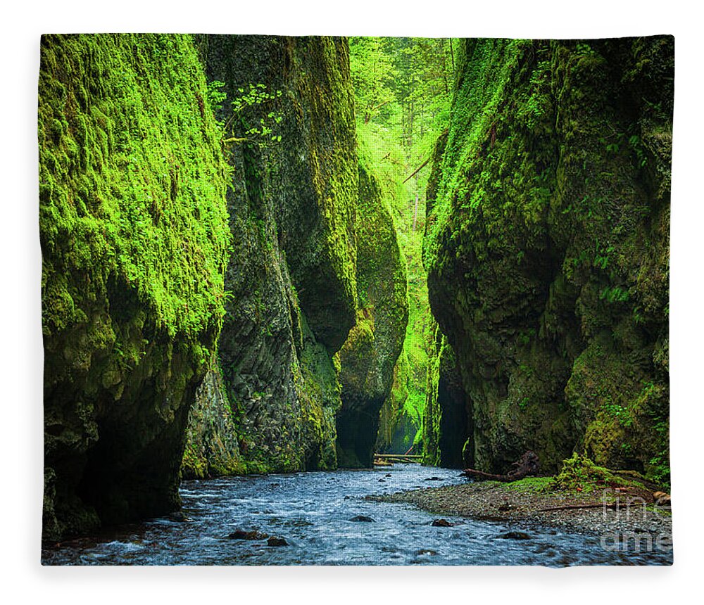 America Fleece Blanket featuring the photograph Oneonta Chasm by Inge Johnsson