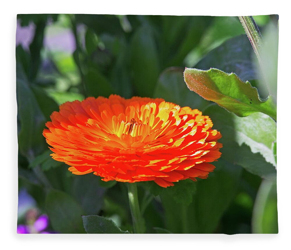 Beautiful Fleece Blanket featuring the photograph Orange Blossom by David Desautel