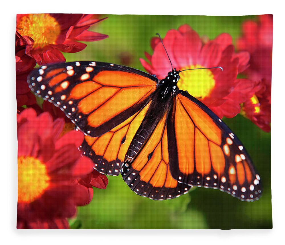 Monarch Butterfly Fleece Blanket featuring the photograph Orange Drift Monarch Butterfly by Christina Rollo