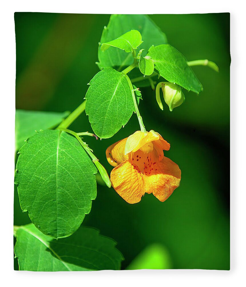 Balsam Family Fleece Blanket featuring the photograph Orange Jewelweed DFL1221 by Gerry Gantt