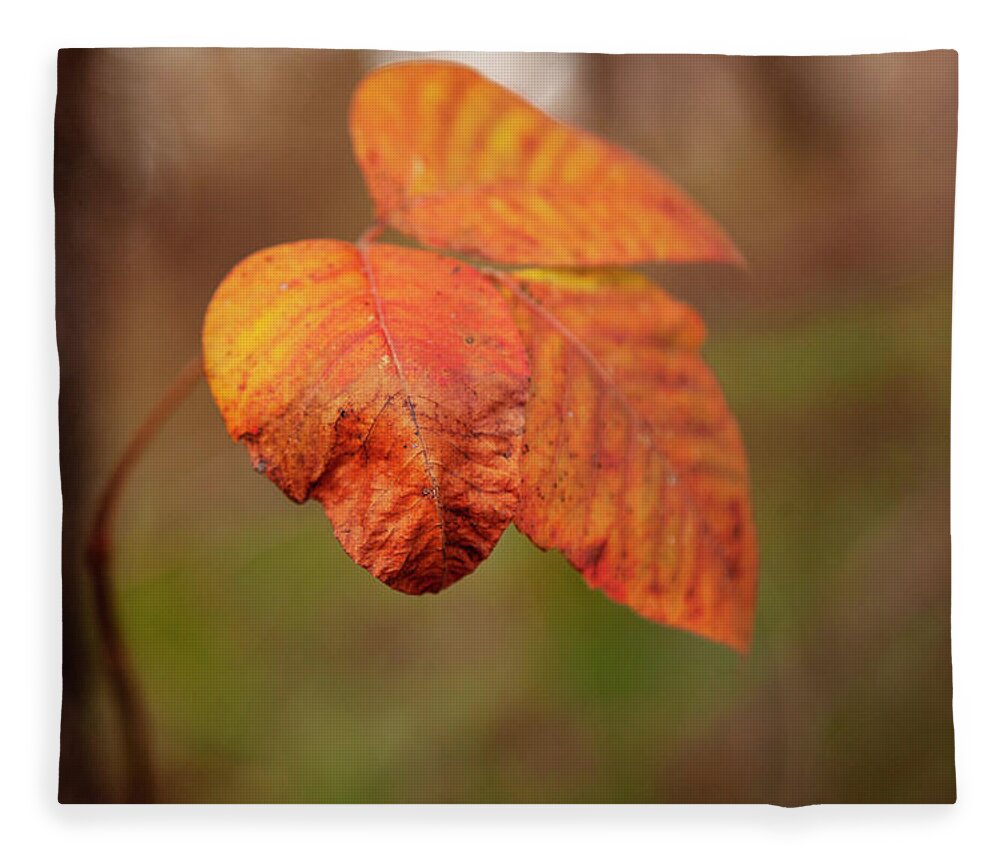 Leaves Fleece Blanket featuring the photograph Orange Leaves by Toni Hopper
