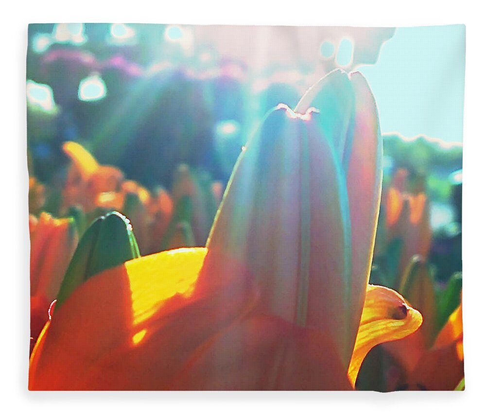 Orange Lily Closeup Fleece Blanket featuring the digital art Orange Lily Sun Splash by Pamela Smale Williams