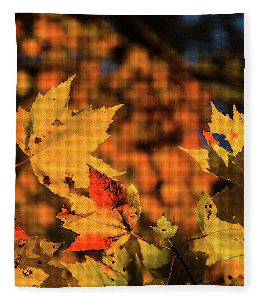 Orange Tipped Sunlight Fleece Blanket featuring the photograph Orange Tipped Sunlight by Jeff Folger
