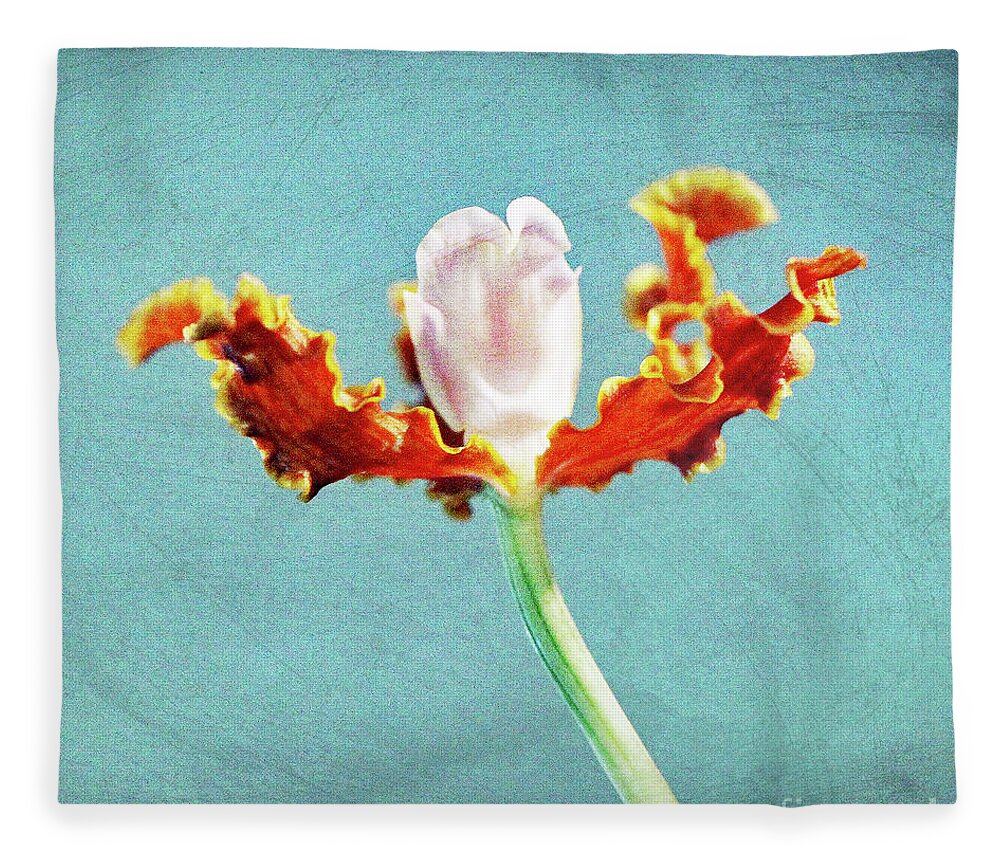 Orchid; Orchids; Flowers; Flower; Floral; Flora; Blue; Red; Red Orchid; Red Flowers; Digital Art; Photography; Painting; Simple; Decorative; Décor; Macro; Close-up Fleece Blanket featuring the photograph Orchid Blues by Tina Uihlein